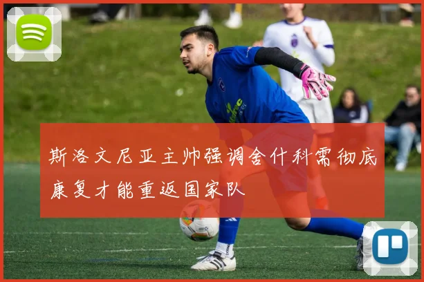 斯洛文尼亚主帅强调舍什科需彻底康复才能重返国家队